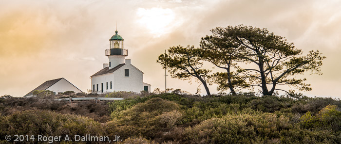 Cropped and colored in Lightroom 5.5