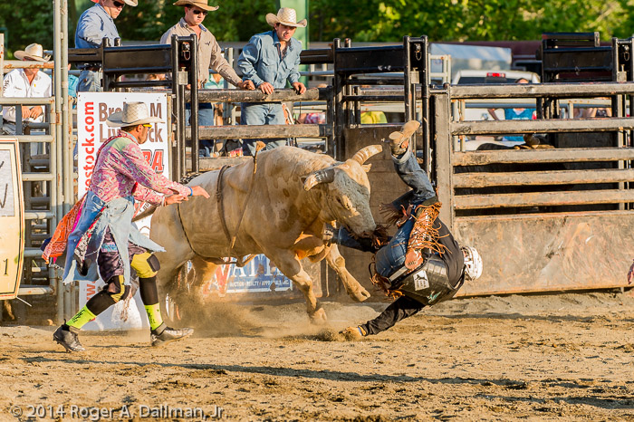 Bull riding in Fauquier County can be rough