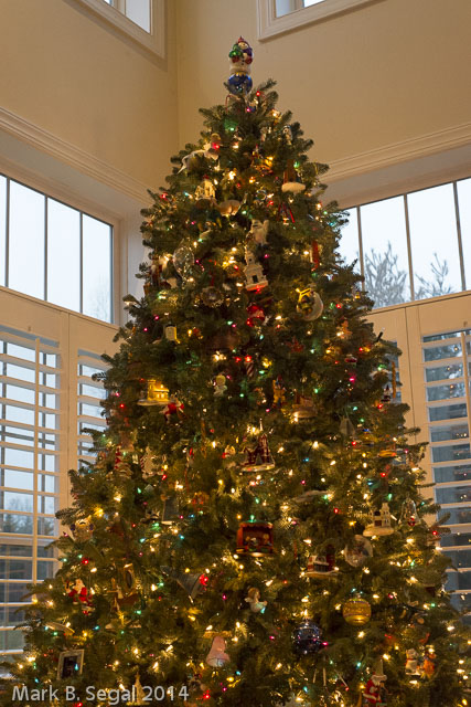 50mm 1.8 Xmas
