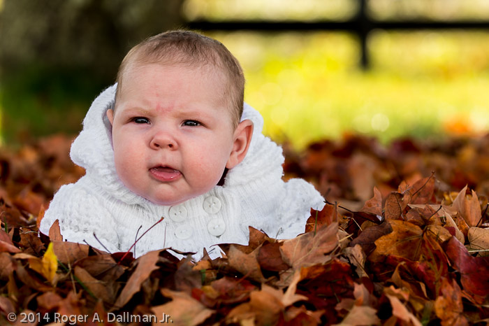 Use your flash in the daytime, too
