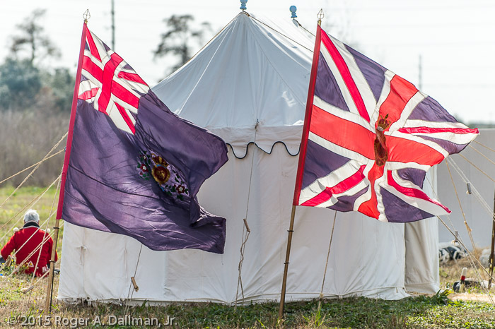 Enemy battle flags