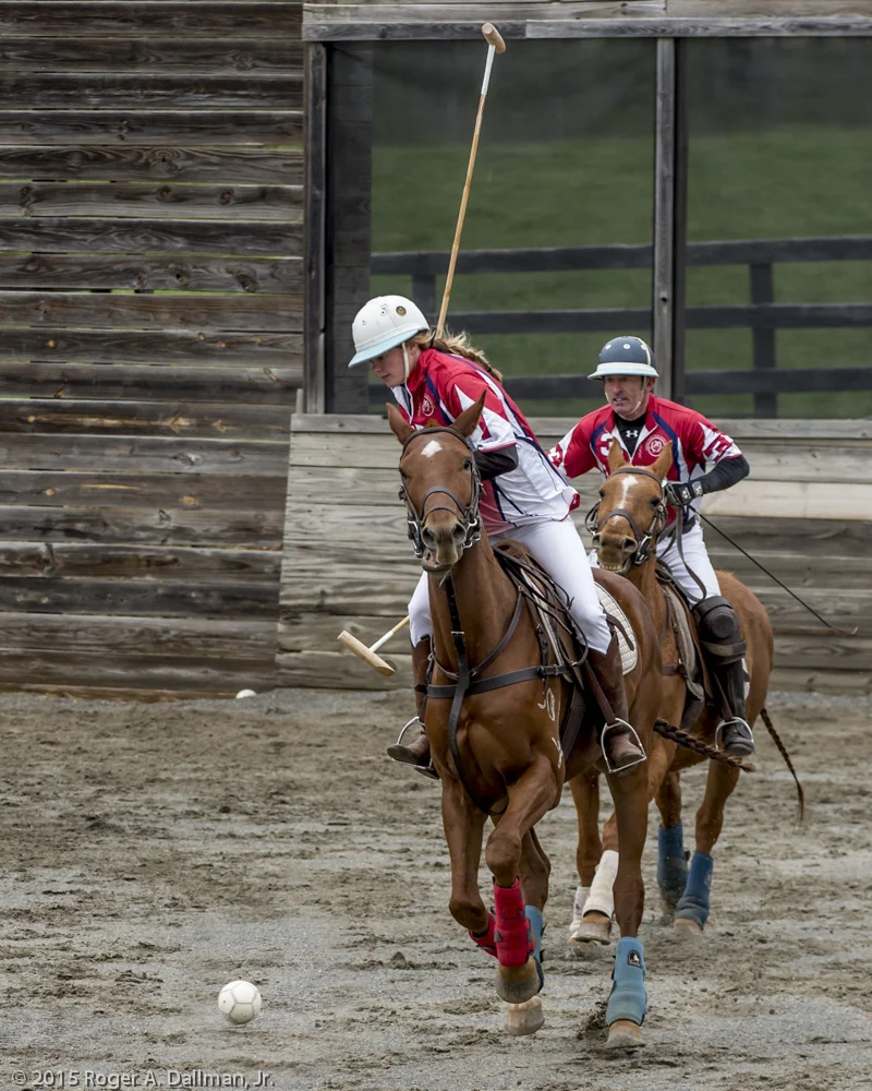 Arena Polo