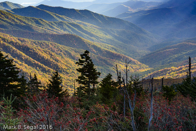 Late Afternoon Last Rays of Light