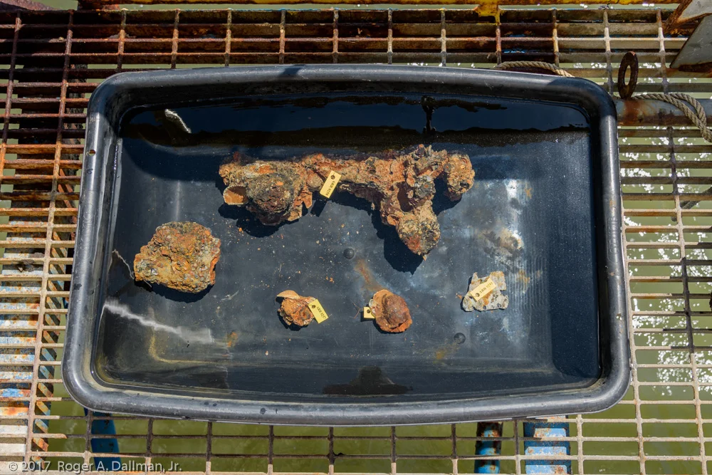 Artifacts ready to go to the archeologist's workshop for cleaning