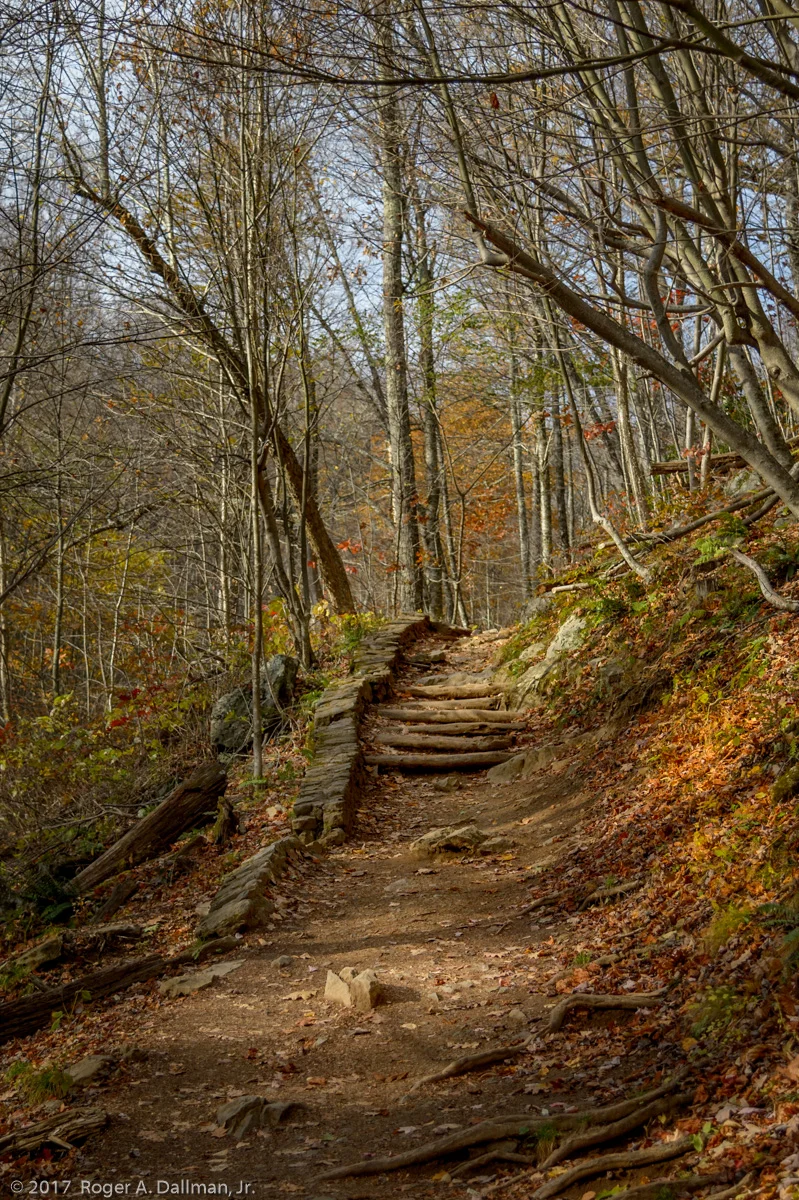 Step carefully on this trail