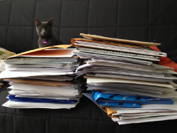 George looks over the RGP submission pile. George, and her sister Martha, are named for James Marshall's famous picture book hippos.