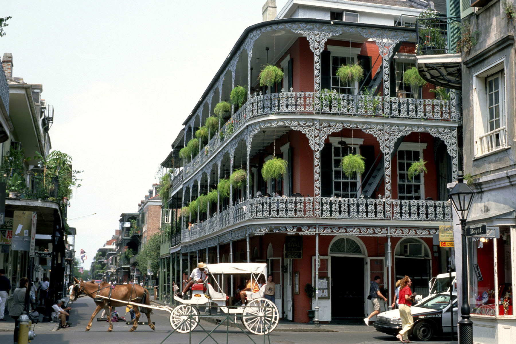 nola.jpg