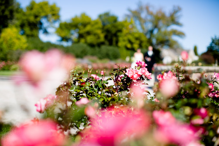 botanical_garden_wedding_milwaukee_sm-026.jpg