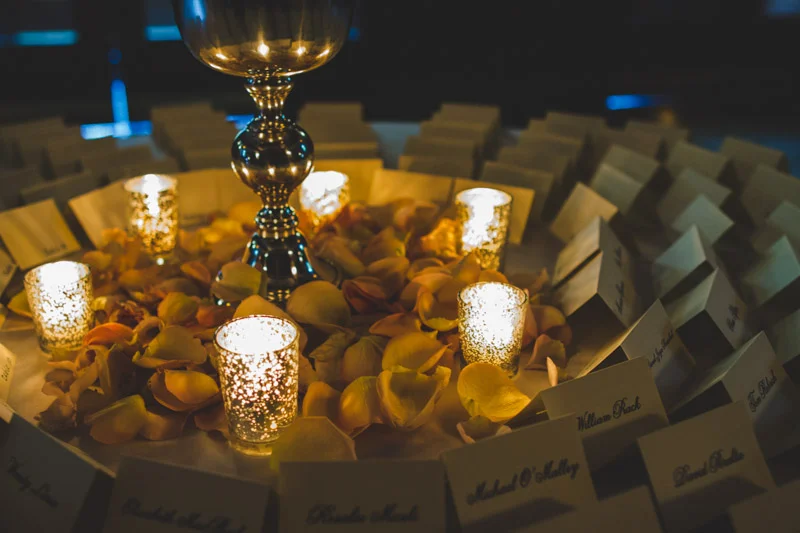 cafe_brauer_wedding_chicago_photographers_sj-074.jpg