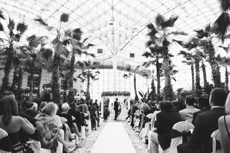 crystal-gardens-wedding-featured-chicago-photographers-114.jpg