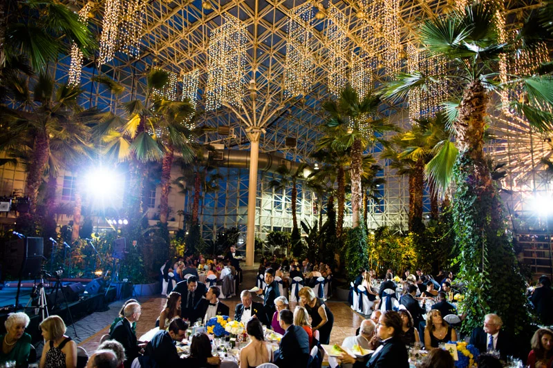 crystal-gardens-wedding-featured-chicago-photographers-142.jpg