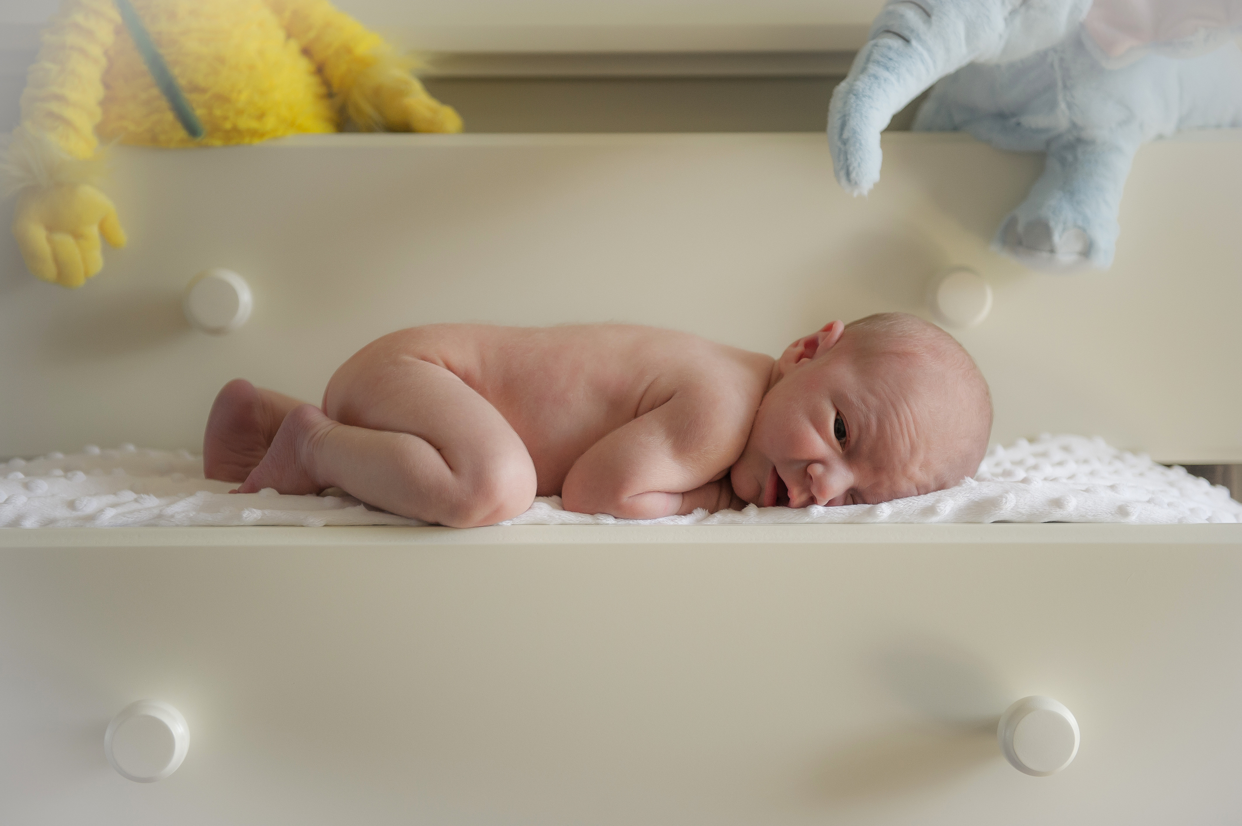 Briggs Peterson-3381.jpg