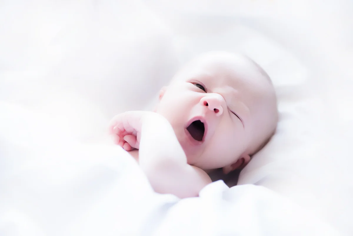 0003_810_2671 Web.jpg