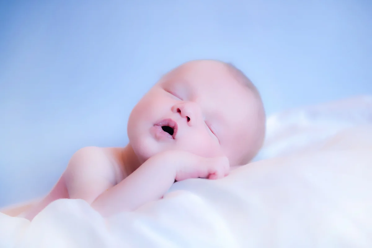 0015_810_3258 Web.jpg