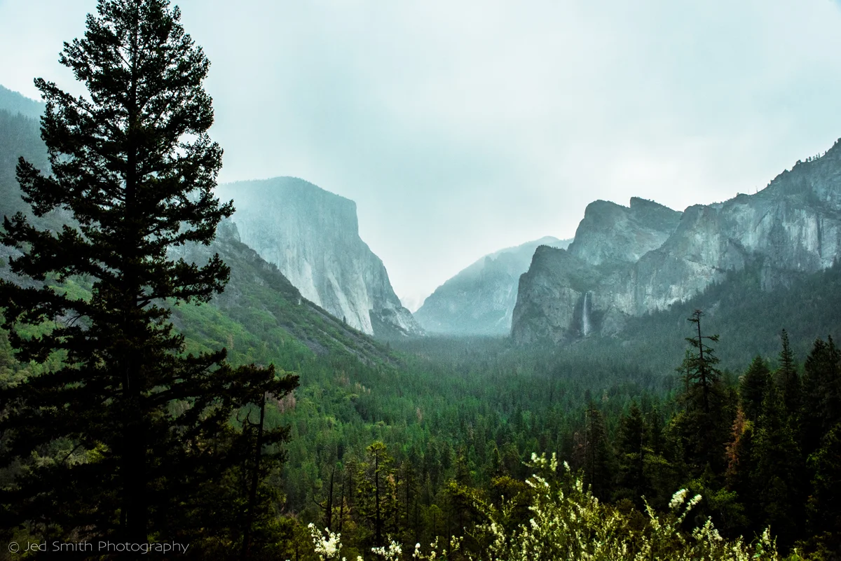0001_810_3932 lo res.jpg