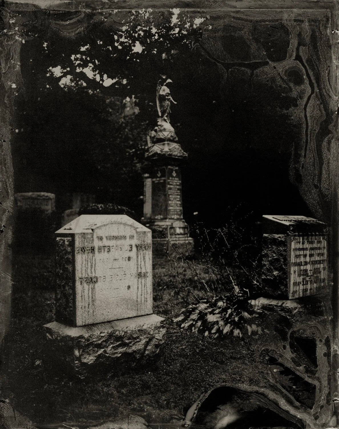 2025_09_MapleGrove074_web (1).jpg