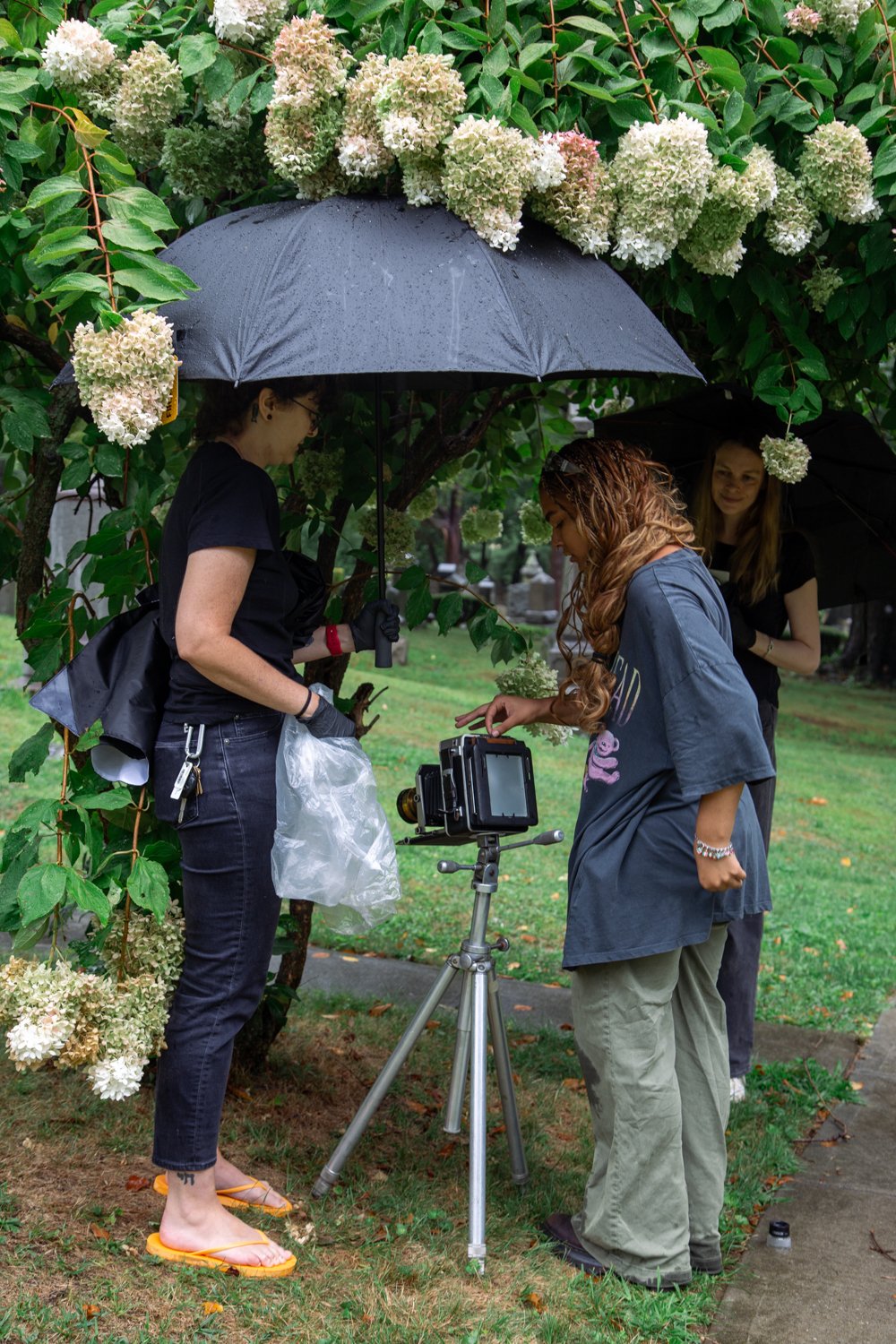 2025_MapleGrove_Workshop_web-3 copy.jpg