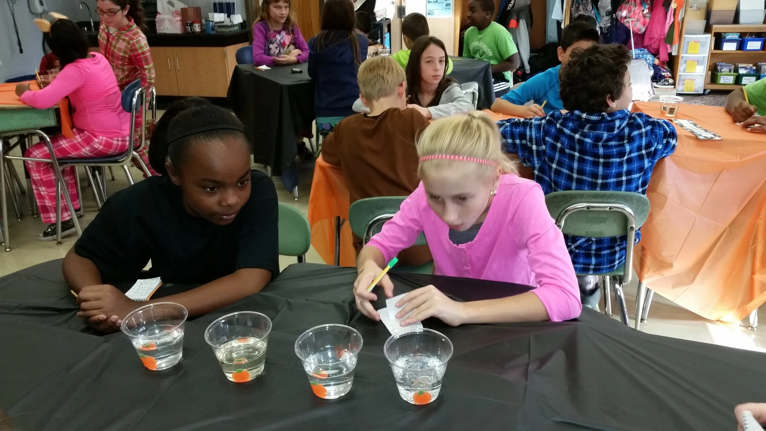 Gumdrop pumpkins: 'sink or swim' experiment
