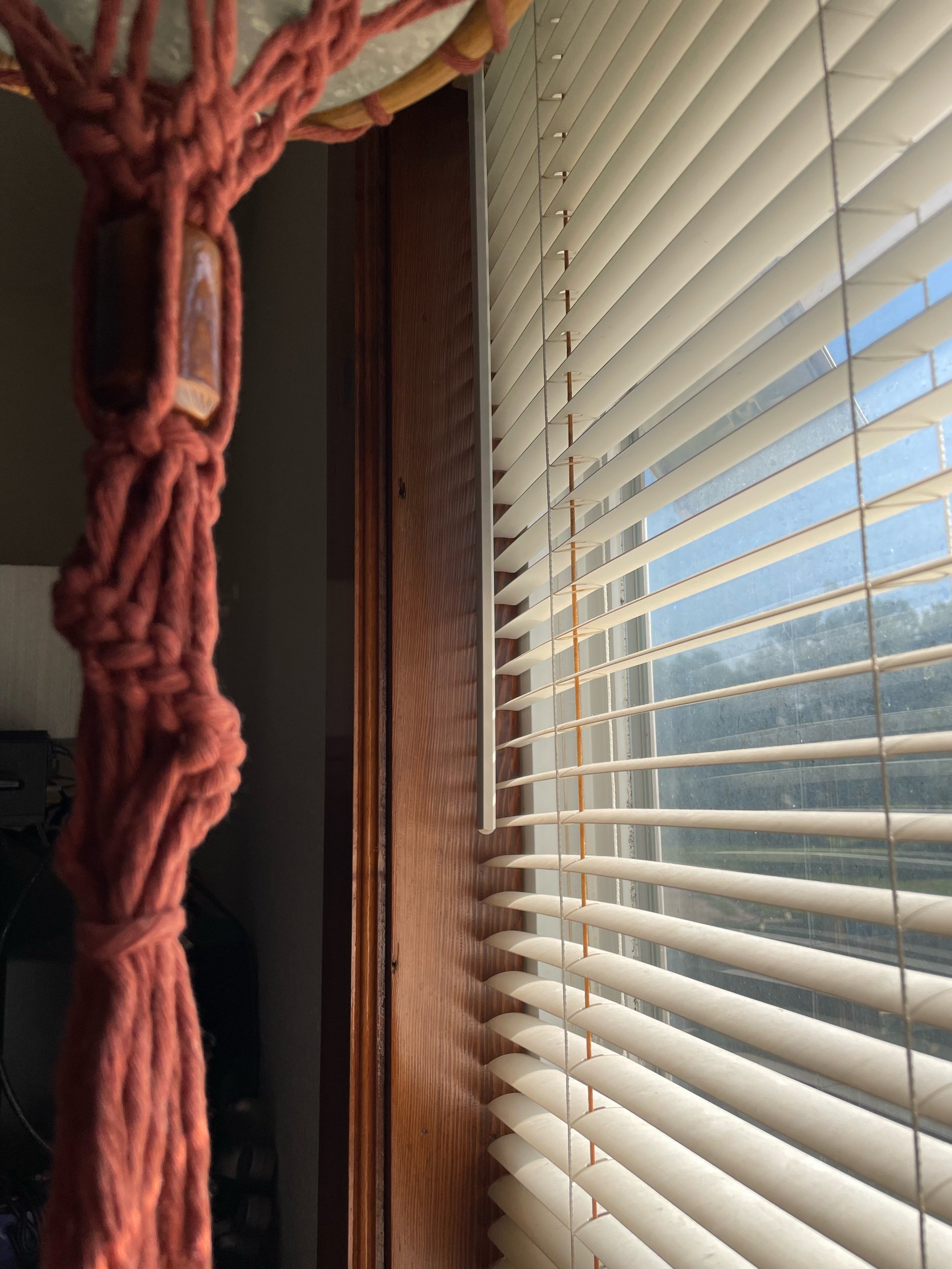 IMG_3627.jpeg