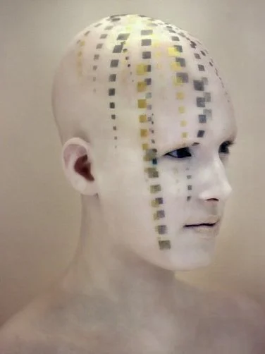 27690_428657636003_2882158_n.jpg