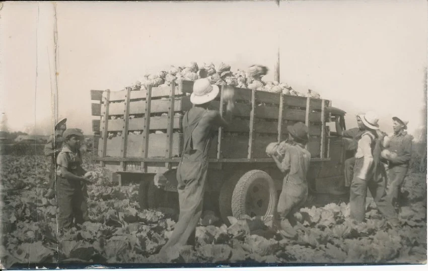 Workers in the fields