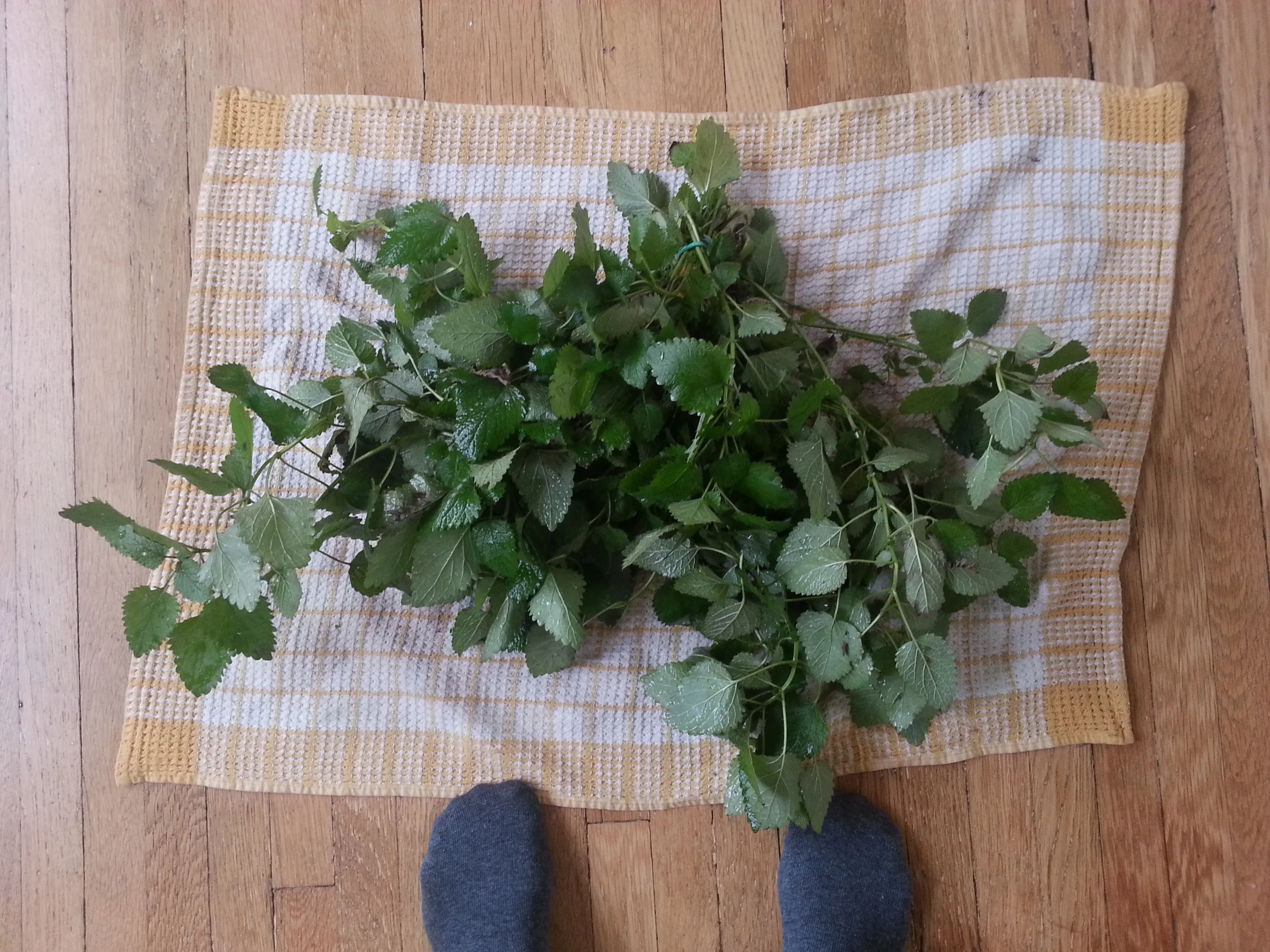  Lemon balm or Melissa officinalis tea can be great to help relieve anxiety if you're in need of rest but having trouble turning off