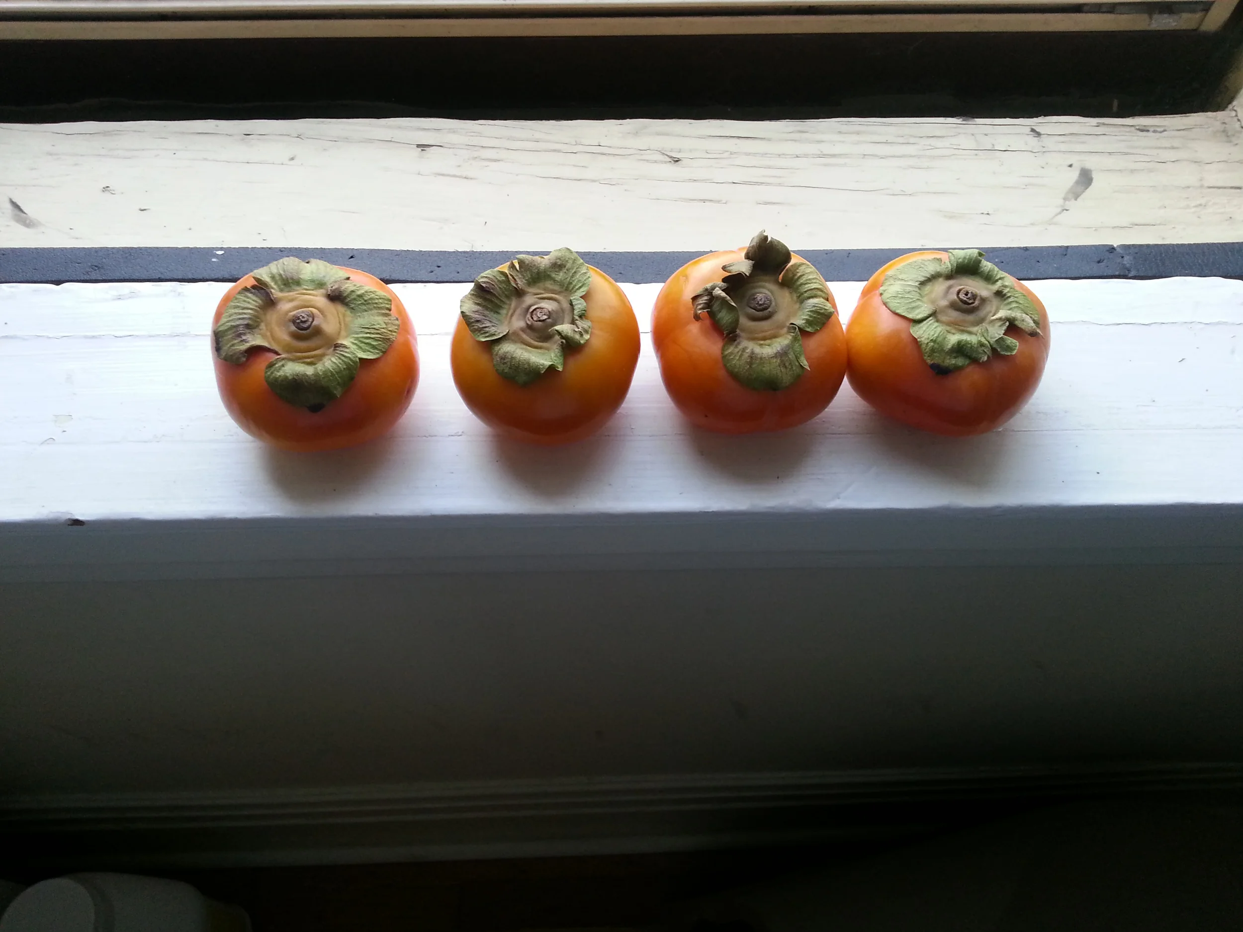 persimmons.jpg