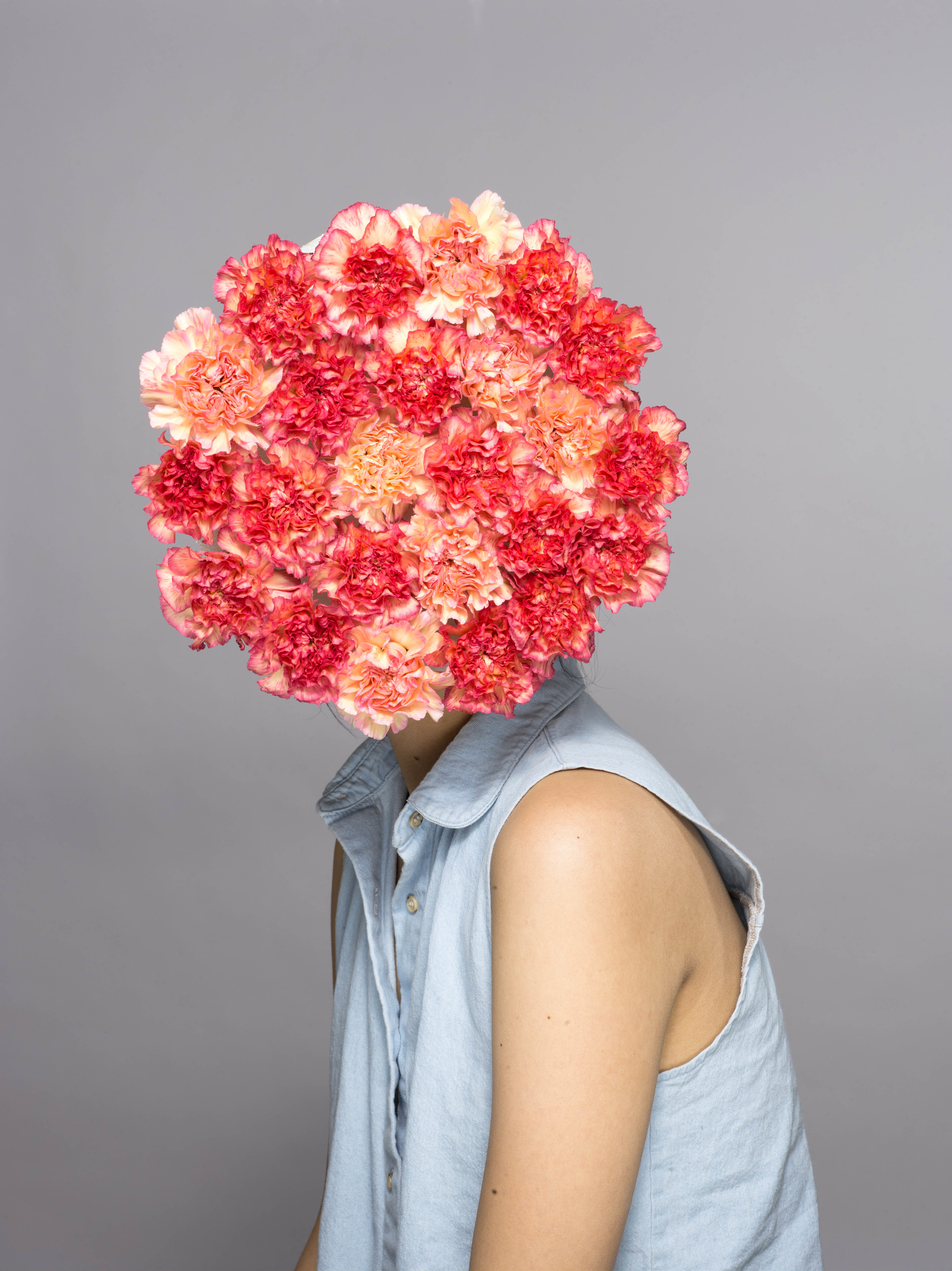 FLOWER HEADS 28803.jpg