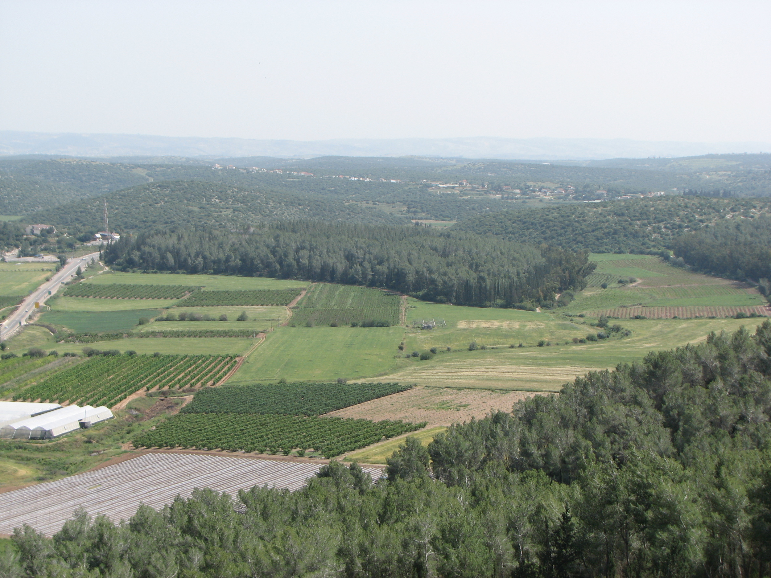 The Probable Site of First Century Emmaus