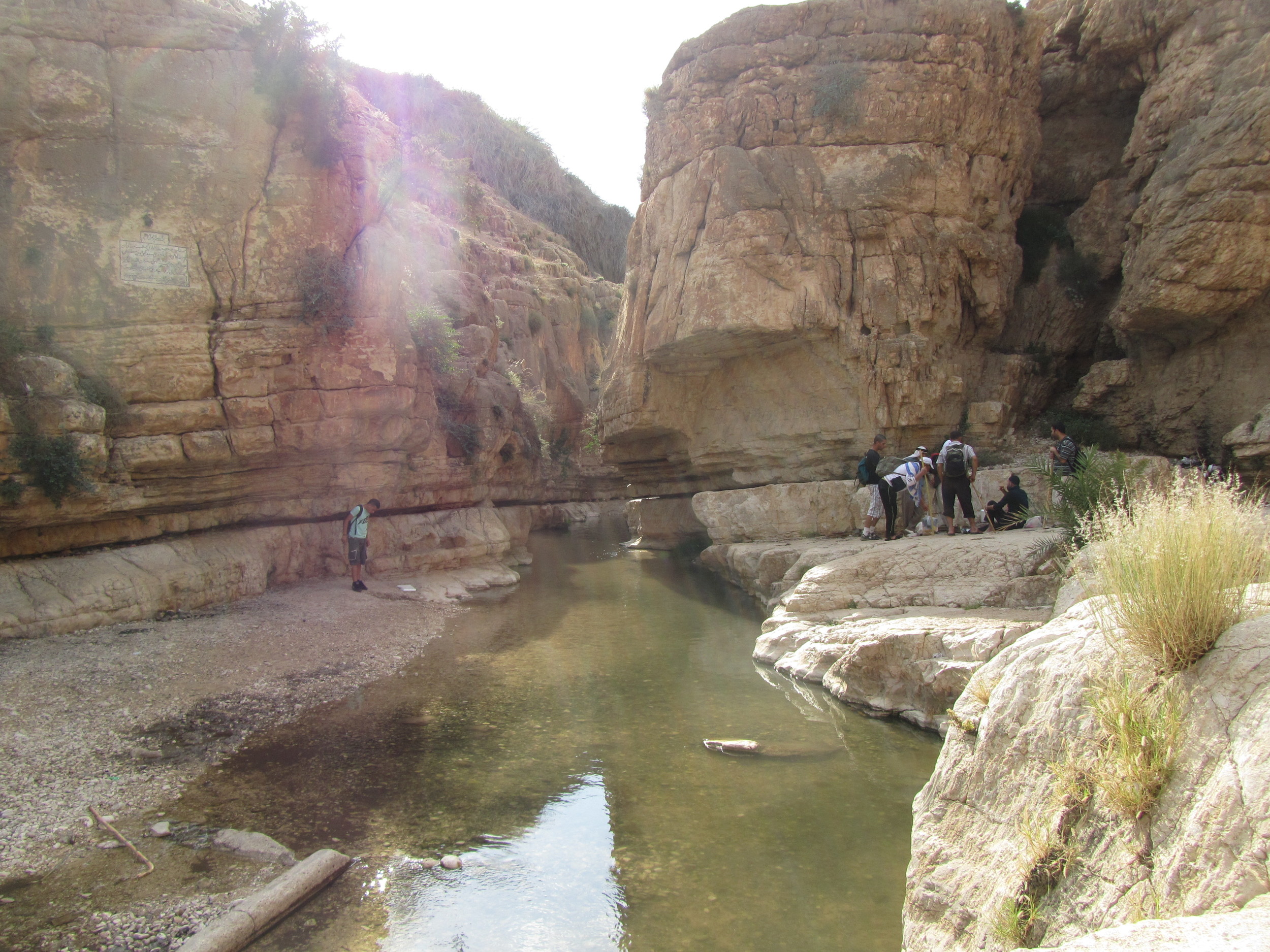 The Spring in Wadi Kelt