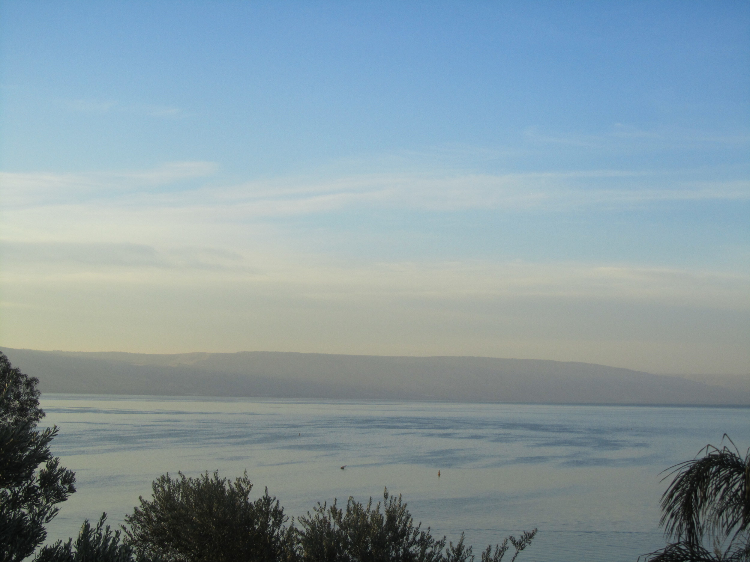 The Sea of Galilee from Tabgha