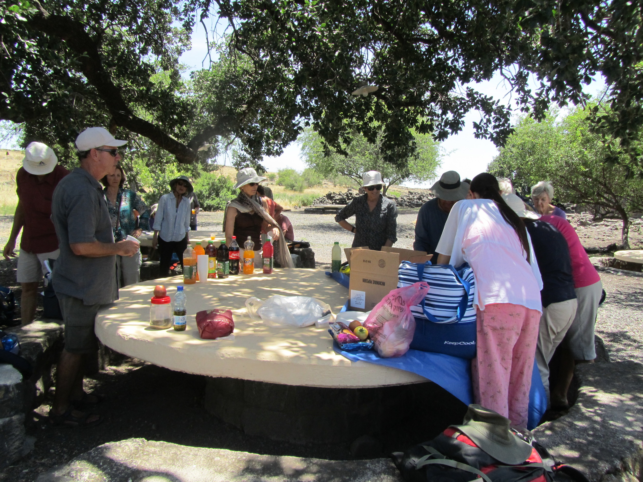 Enjoying a Picnic Lunch at Chorazin