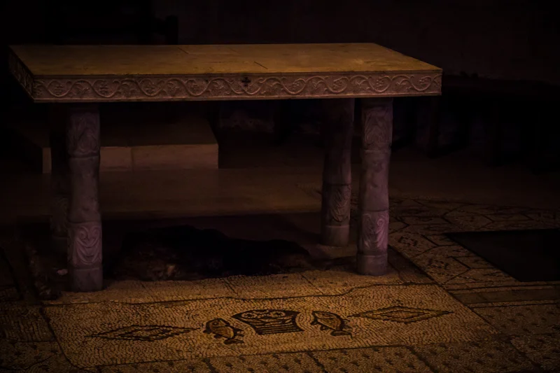 The famous mosaic of loaves and fishes in front of the ancient stone said to be the place where Jesus blessed and broke the bread to initiate the miracle. 1600 years old and going strong!