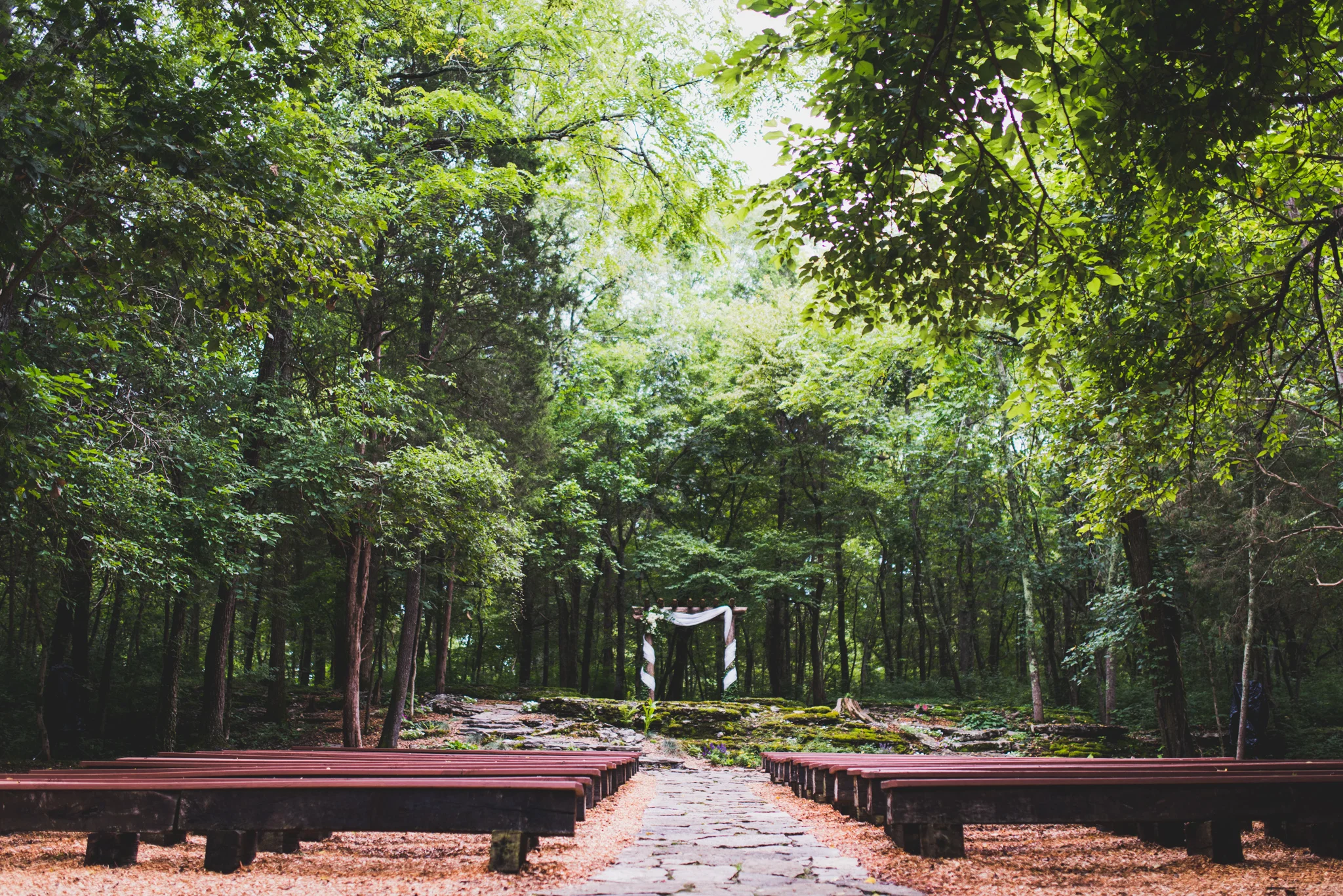 The-Wedding-Woods-Nashville-Wedding-Photographer-2.jpg