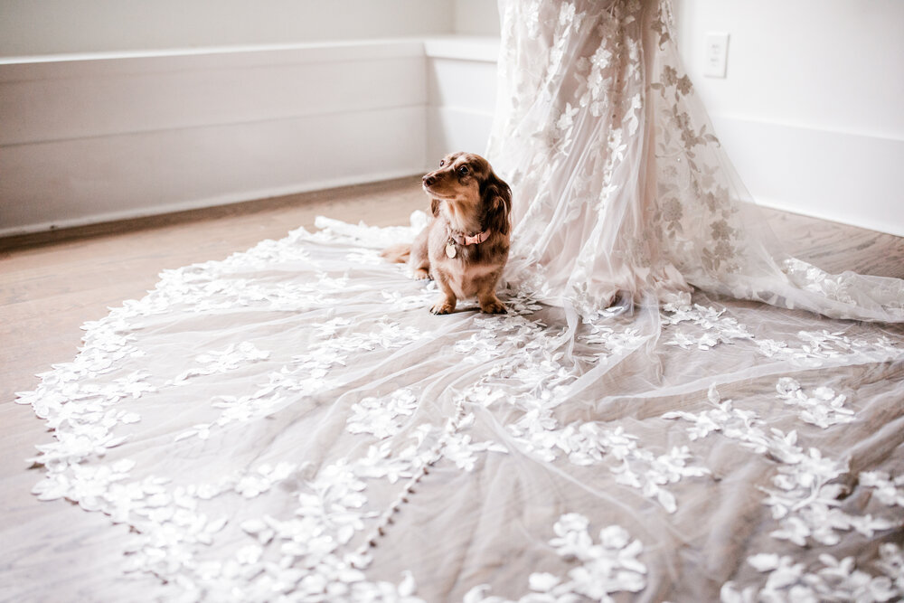 Nashville_Wedding_Photographers_Best_of_2020252.jpg