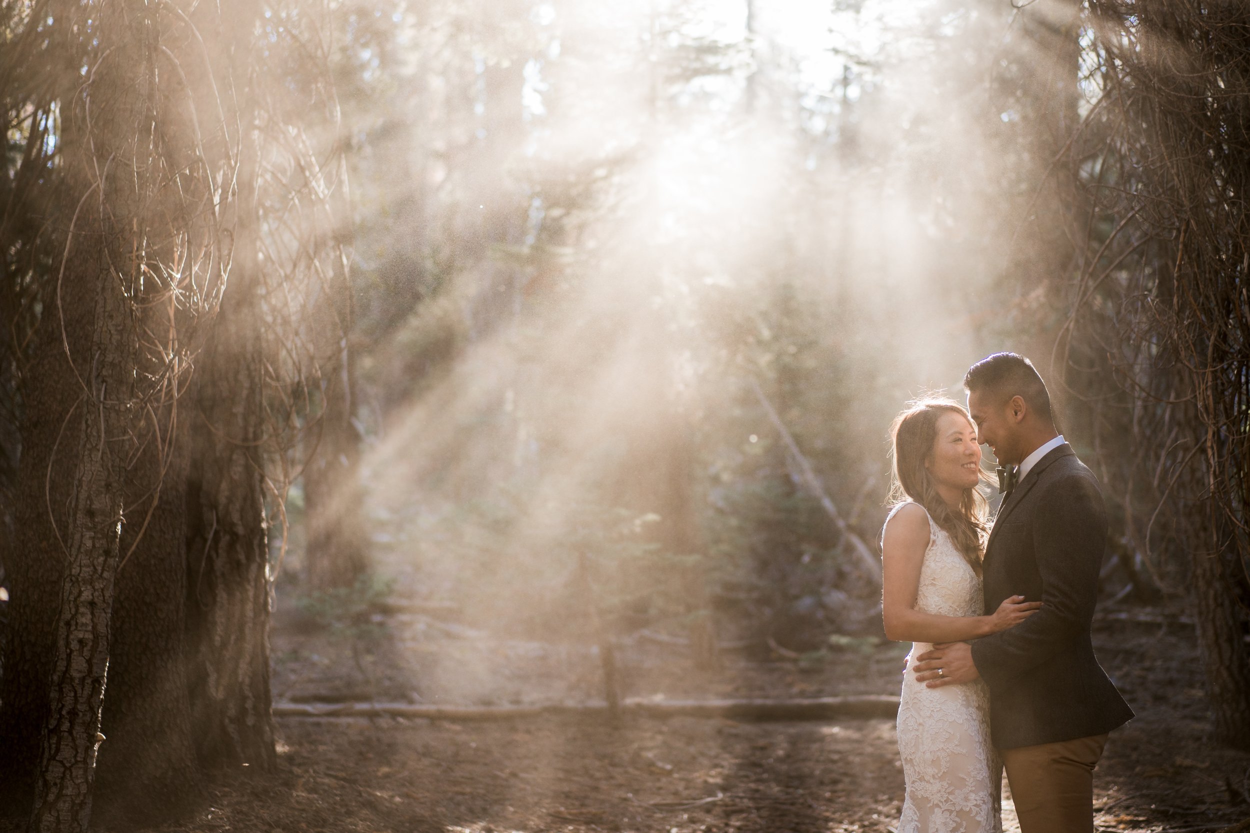 Yosemite National Park Destination Wedding-4.jpg