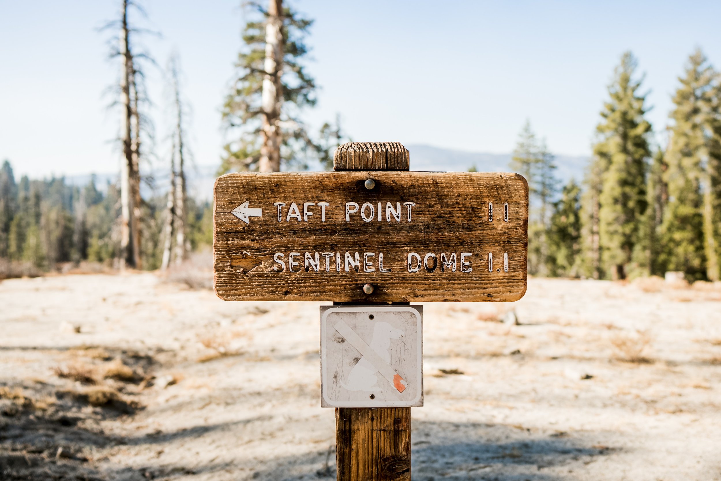 Yosemite National Park Destination Wedding-14.jpg