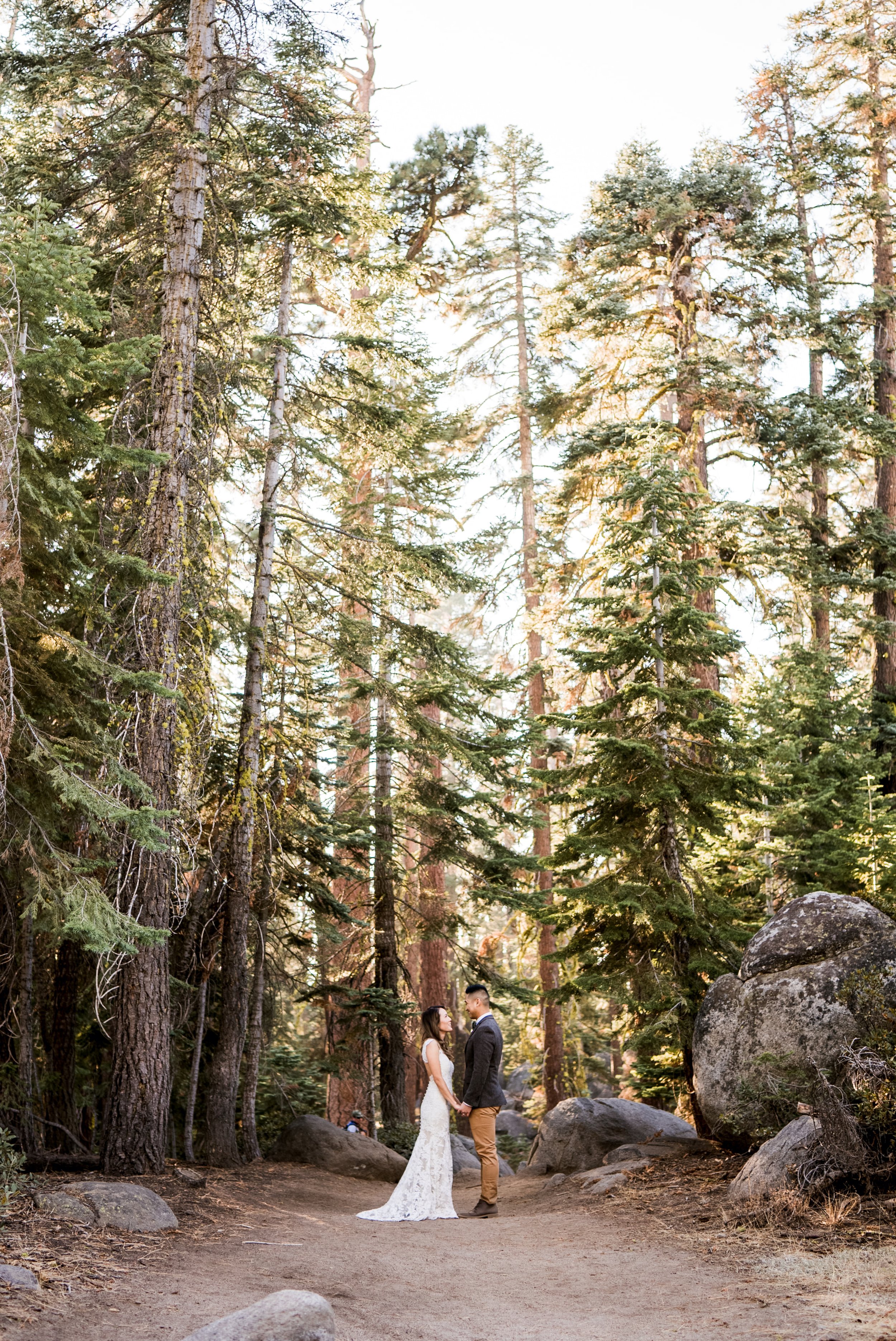 Yosemite National Park Destination Wedding-36.jpg