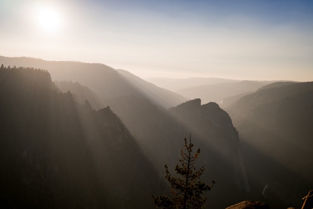 Yosemite National Park Destination Wedding-84.jpg