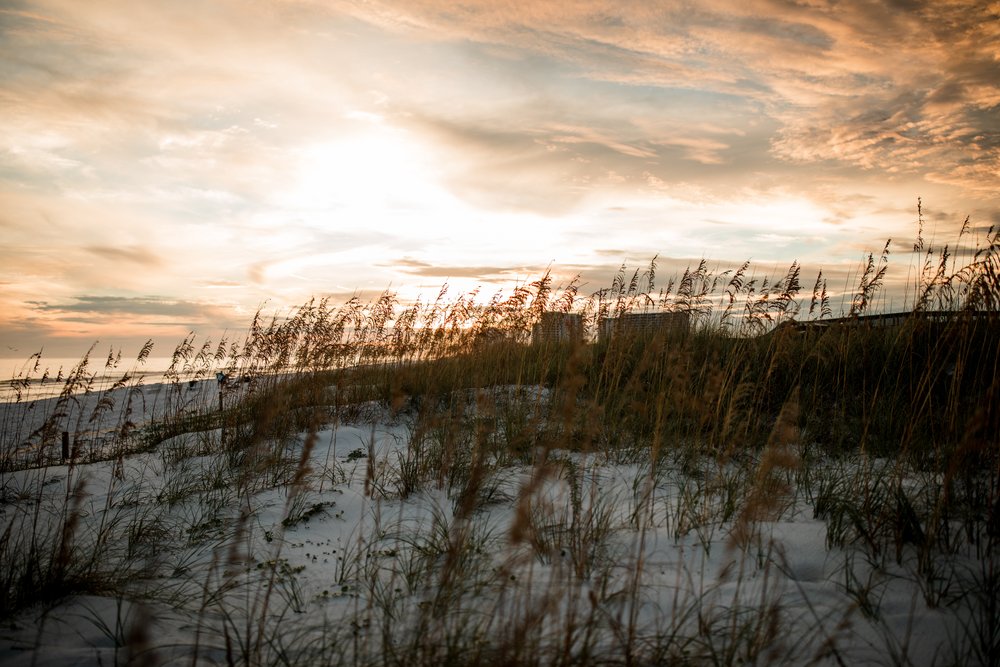 Miramar Beach Florida Destination Wedding-97.jpg