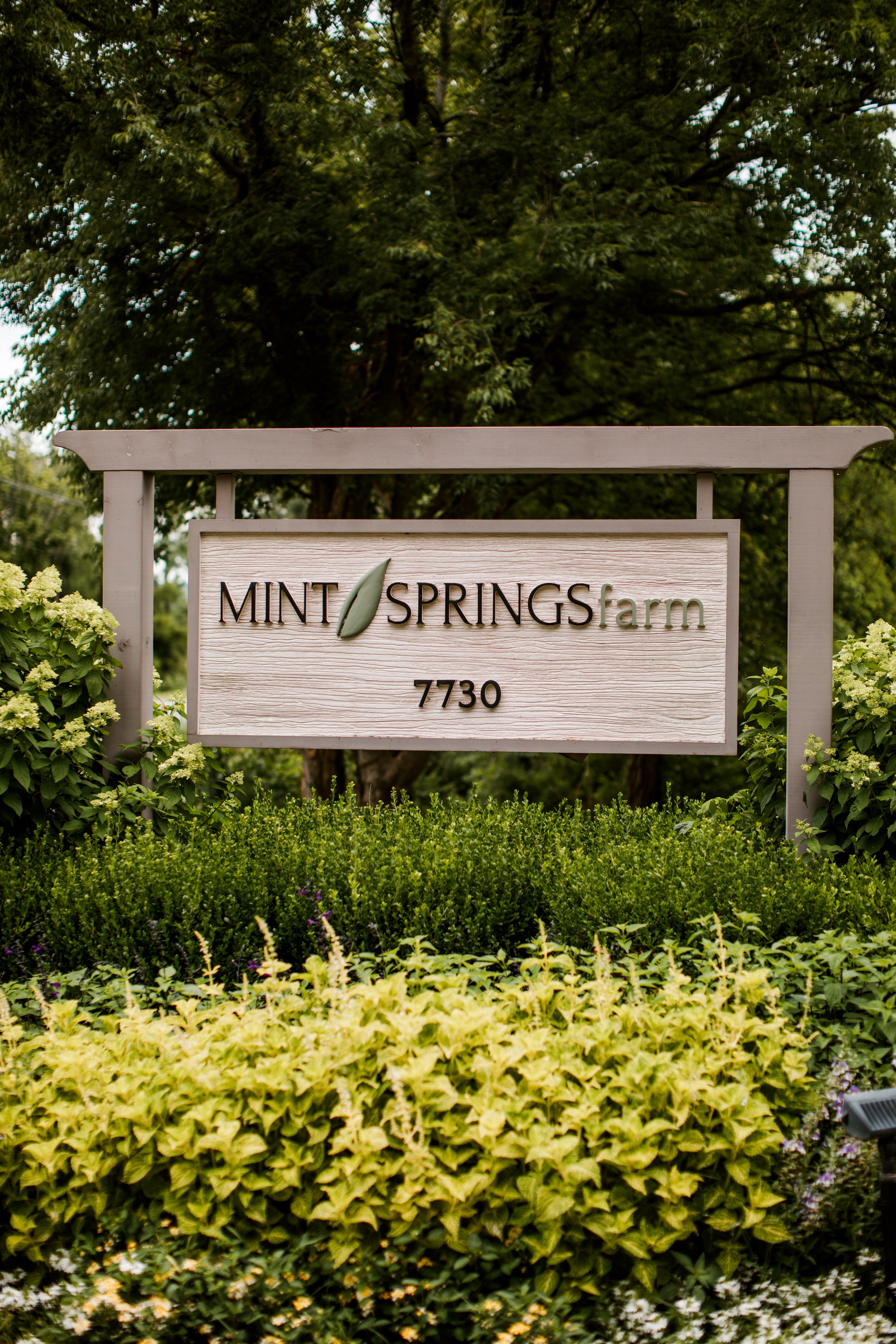 Mint Springs Farm Nolensville Nashville Wedding-1.jpg