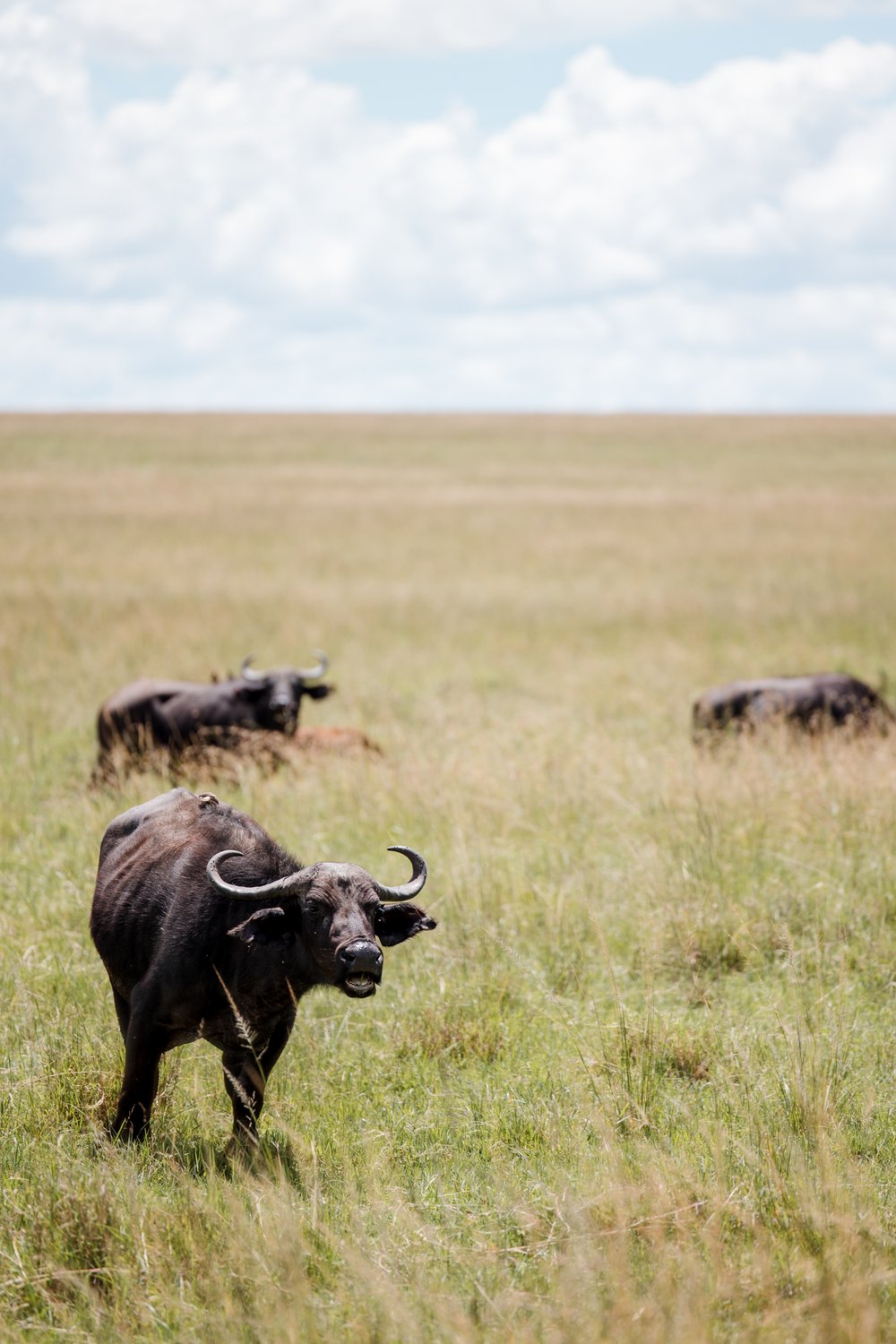 Masai Mara Emboo River Kenya Africa Wedding-4.jpg