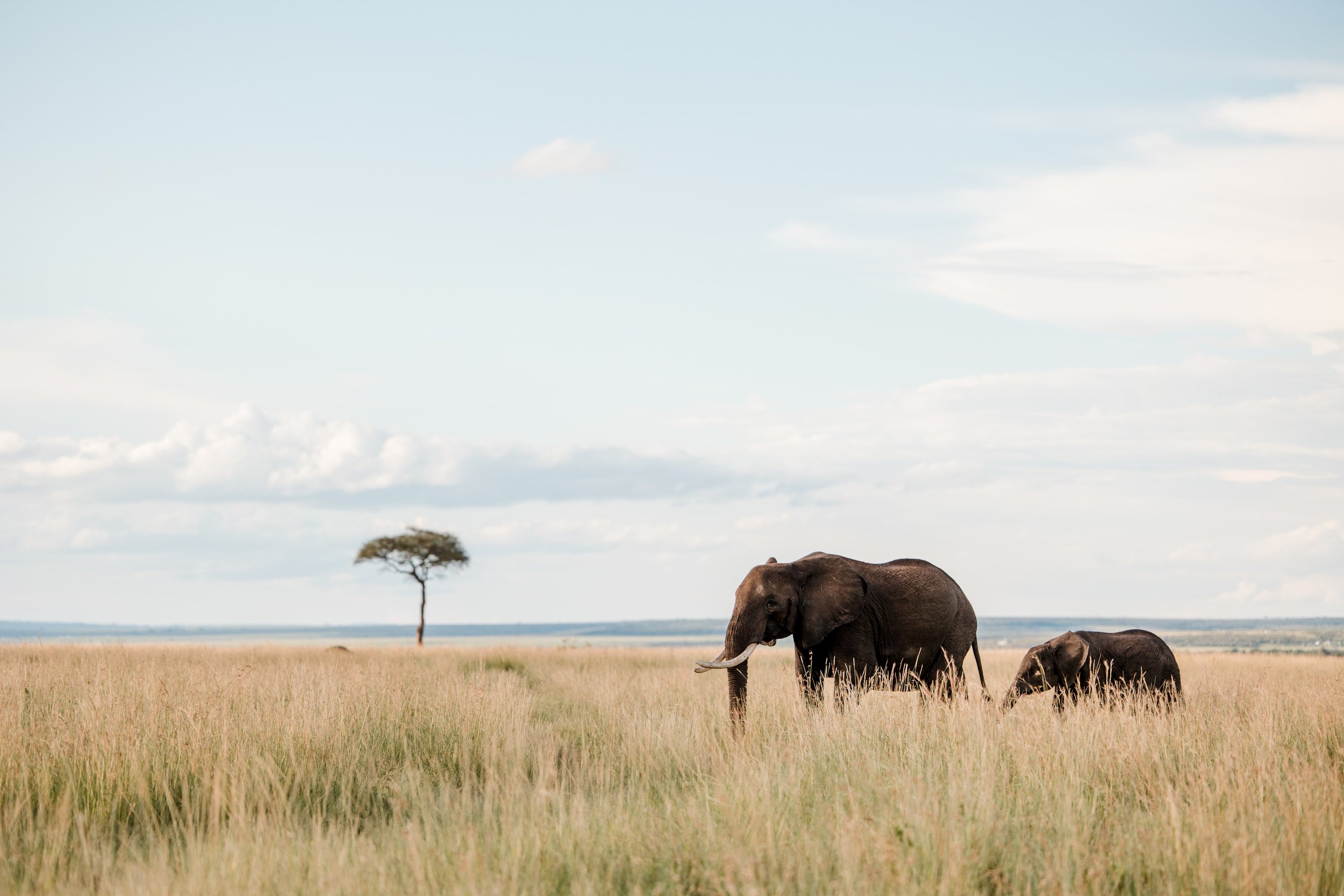 Masai Mara Emboo River Kenya Africa Wedding-136.jpg