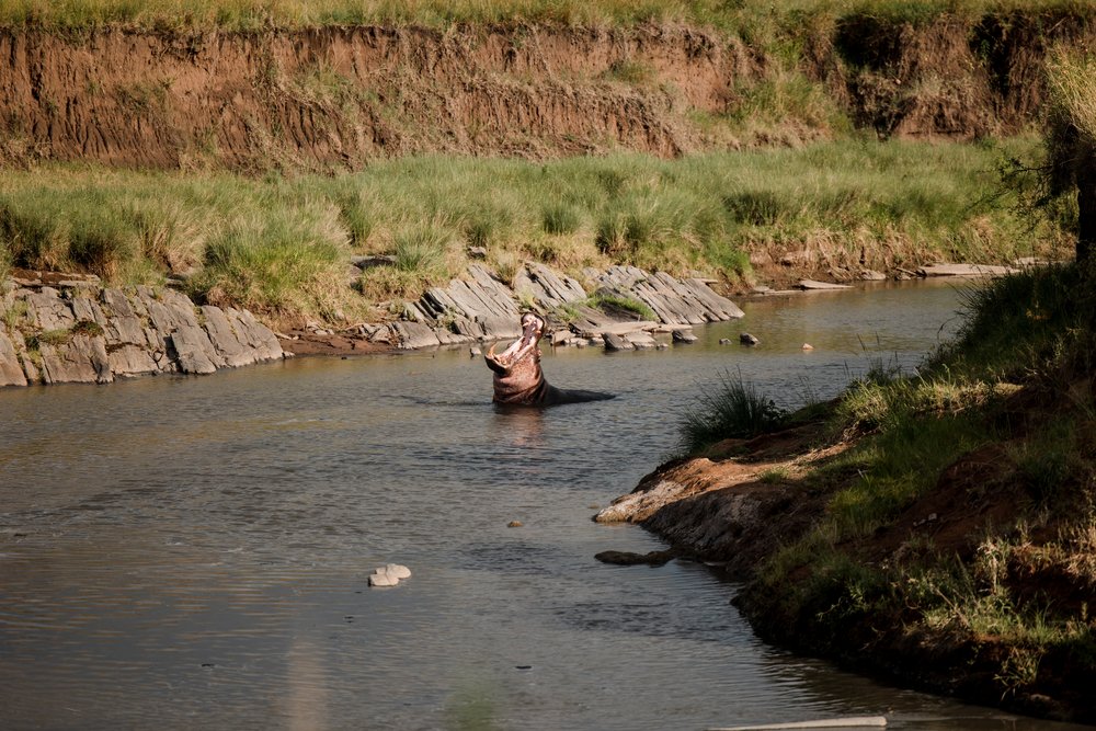 Masai Mara Emboo River Kenya Africa Wedding-192.jpg