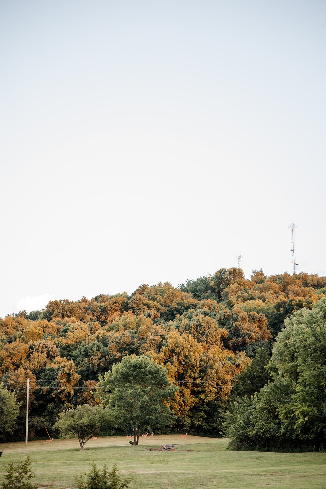 Elegant Rustic Tuckers Gap Nashville Wedding 105.jpg