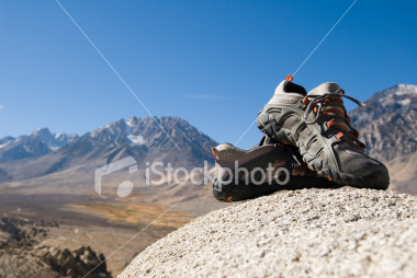 hiking shoe.jpg