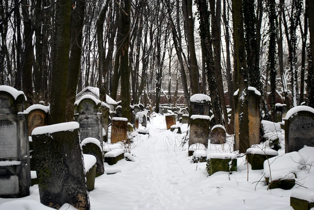 DSC_2637.JPG