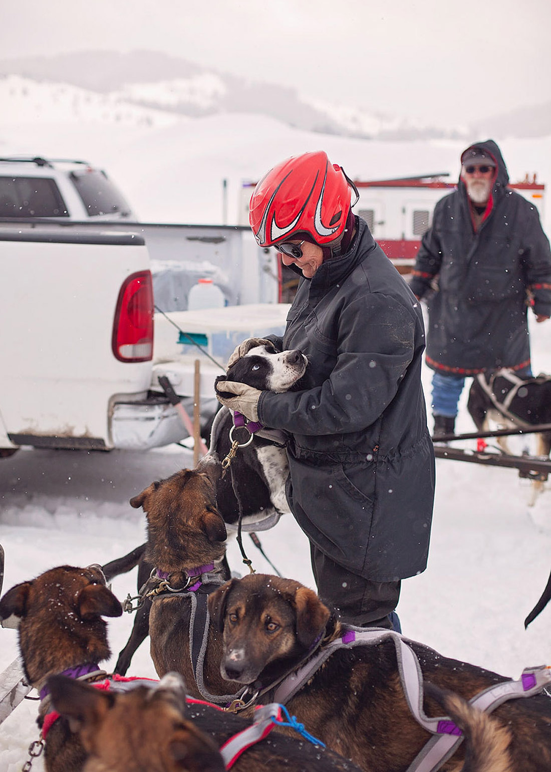 LoganUtahPhotography-HeidiRandallStudios-DogSledders-5.jpg