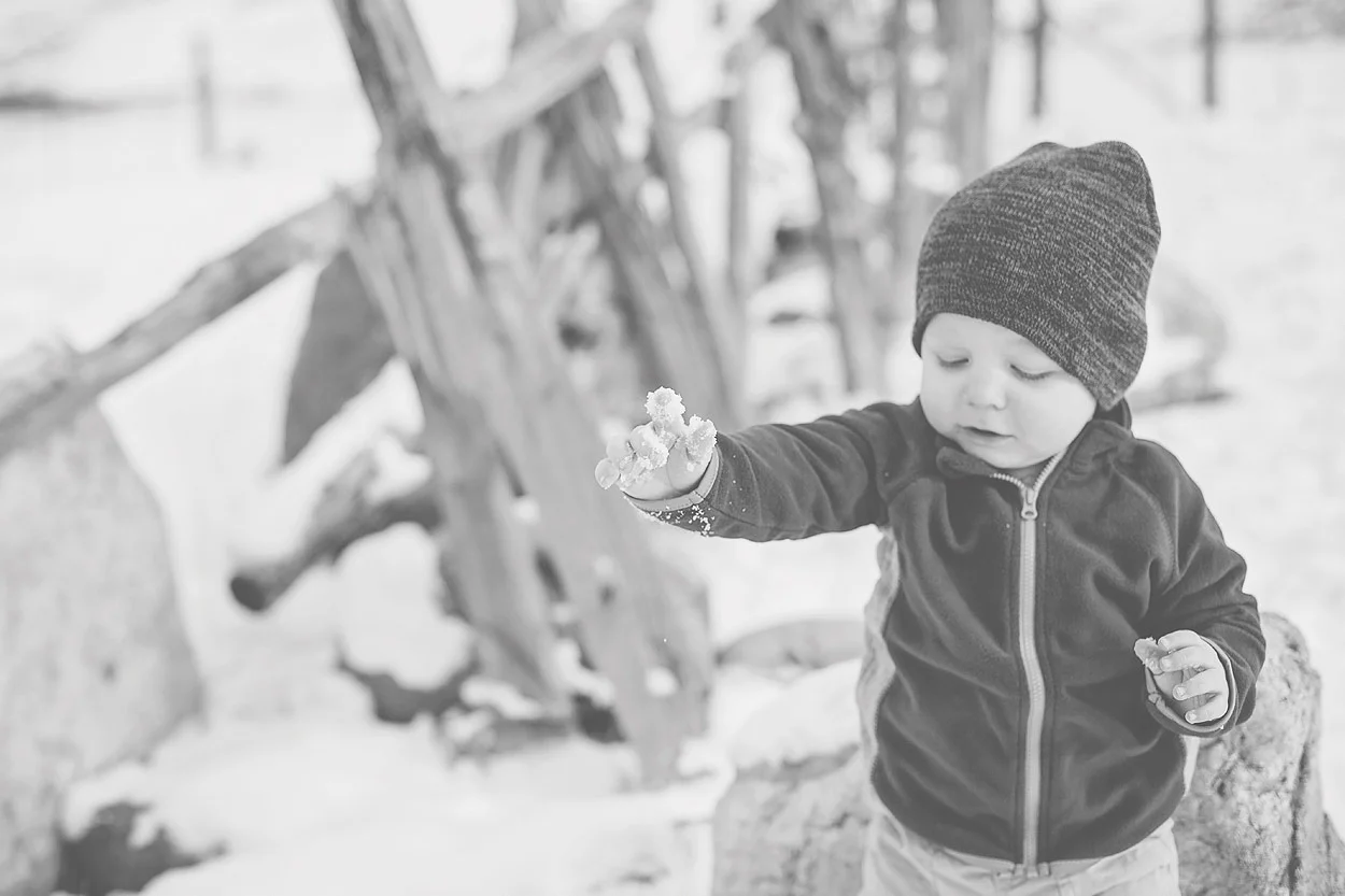 LoganUtahFamilyPhotography-HeidiRandallStudios-14.jpg