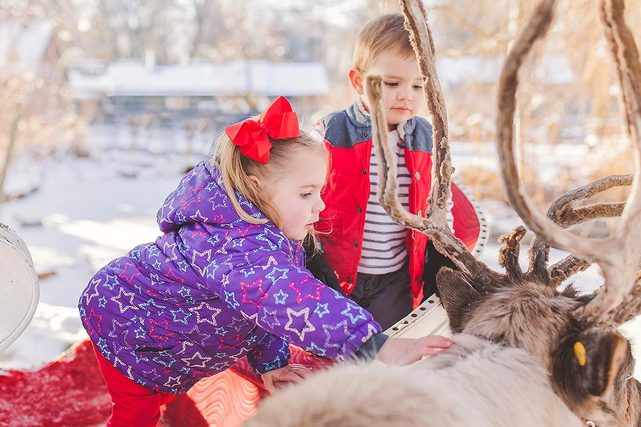 BLOG-LoganUtahFamilyPhotography-HeidiRandallStudios-RandallReindeer-14.jpg